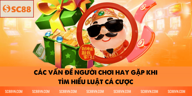 Các Vấn Đề Người Chơi Hay Gặp Khi Tìm Hiểu Luật Cá Cược